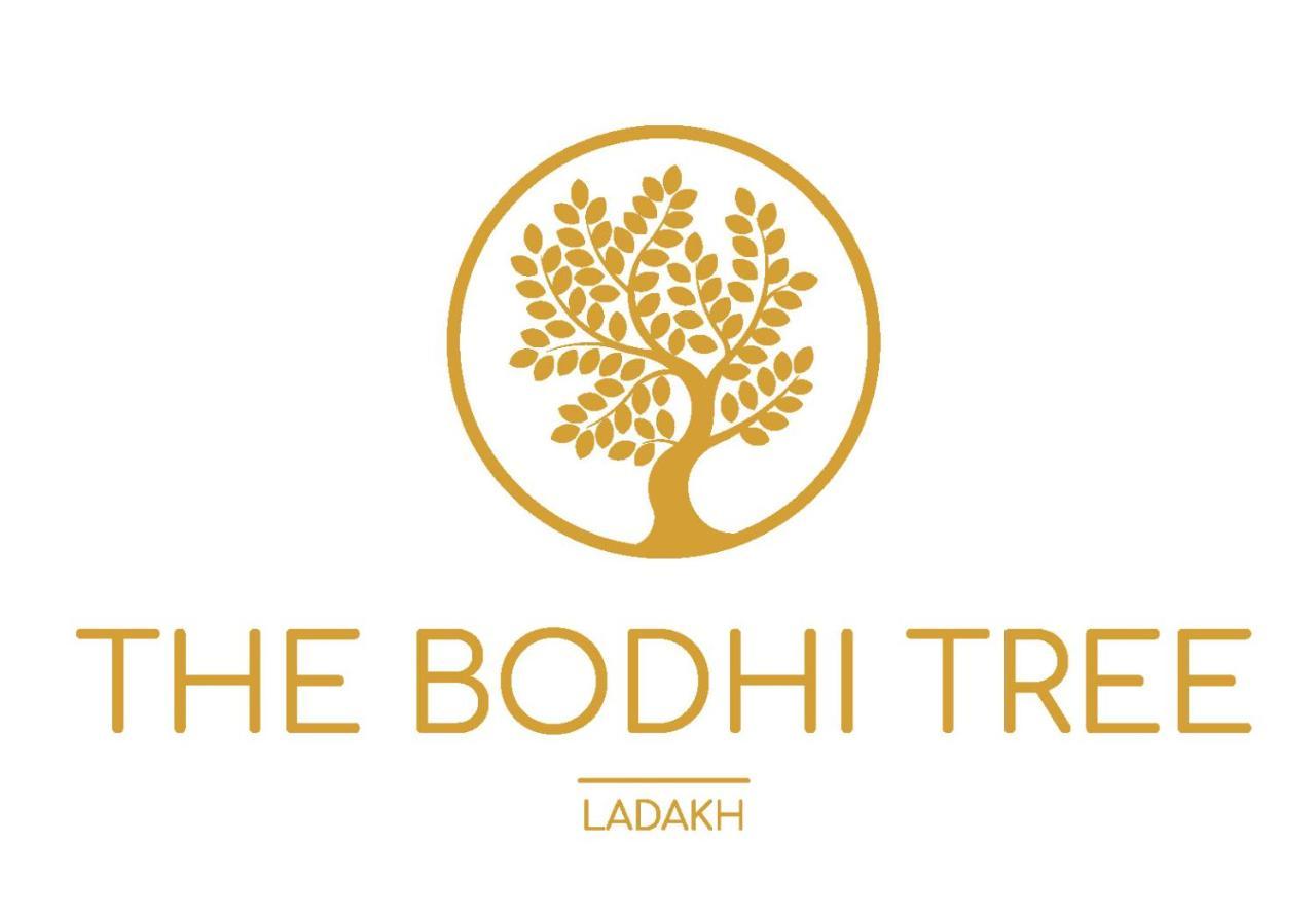 The Bodhi Tree Hotel Leh Kültér fotó